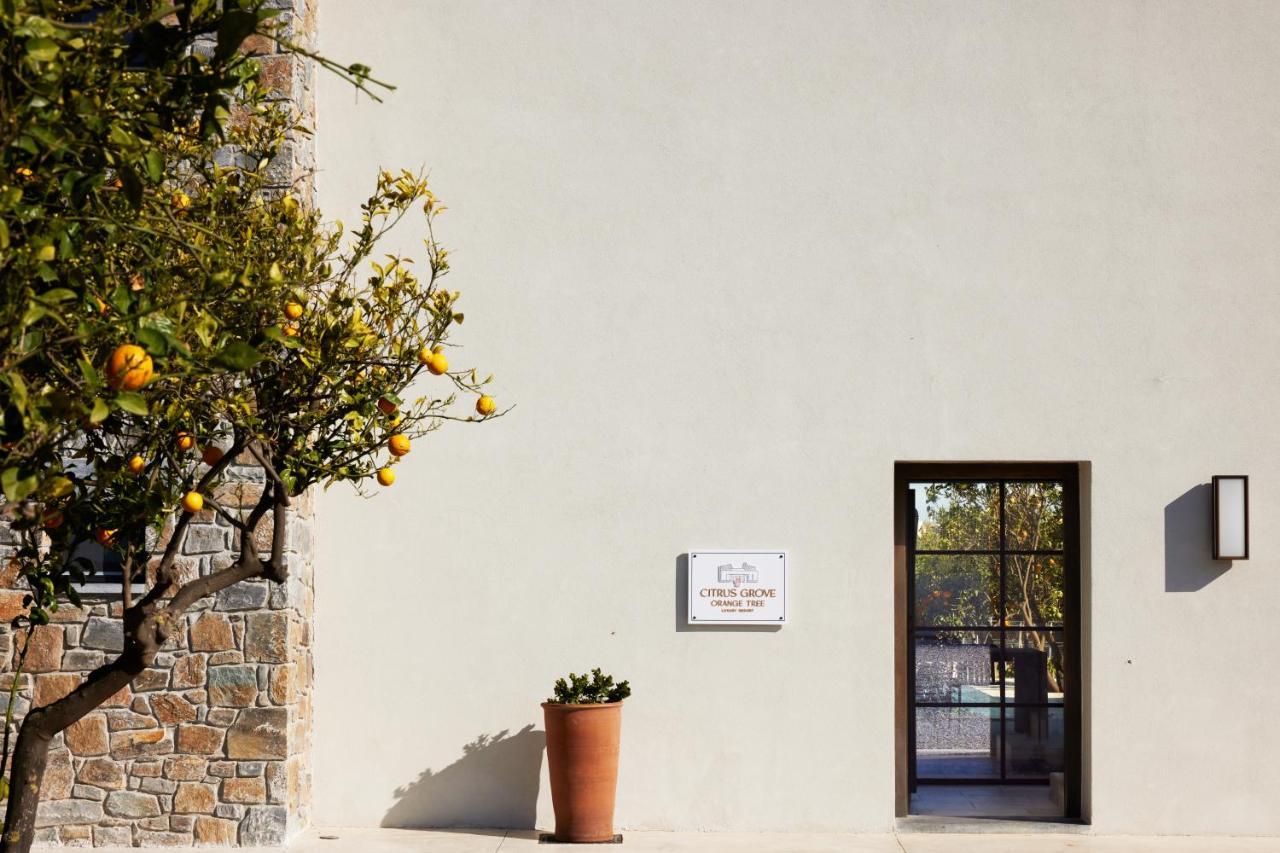Citrus Grove Luxury Villas Szkaléta Kültér fotó